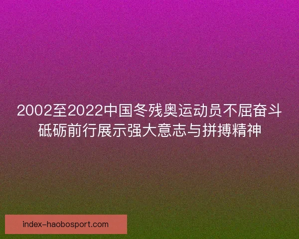2002至2022中国冬残奥运动员不屈奋斗砥砺前行展示强大意志与拼搏精神 2002至2022中国冬残奥运动员不屈奋斗砥砺前行展示强大意志与拼搏精神